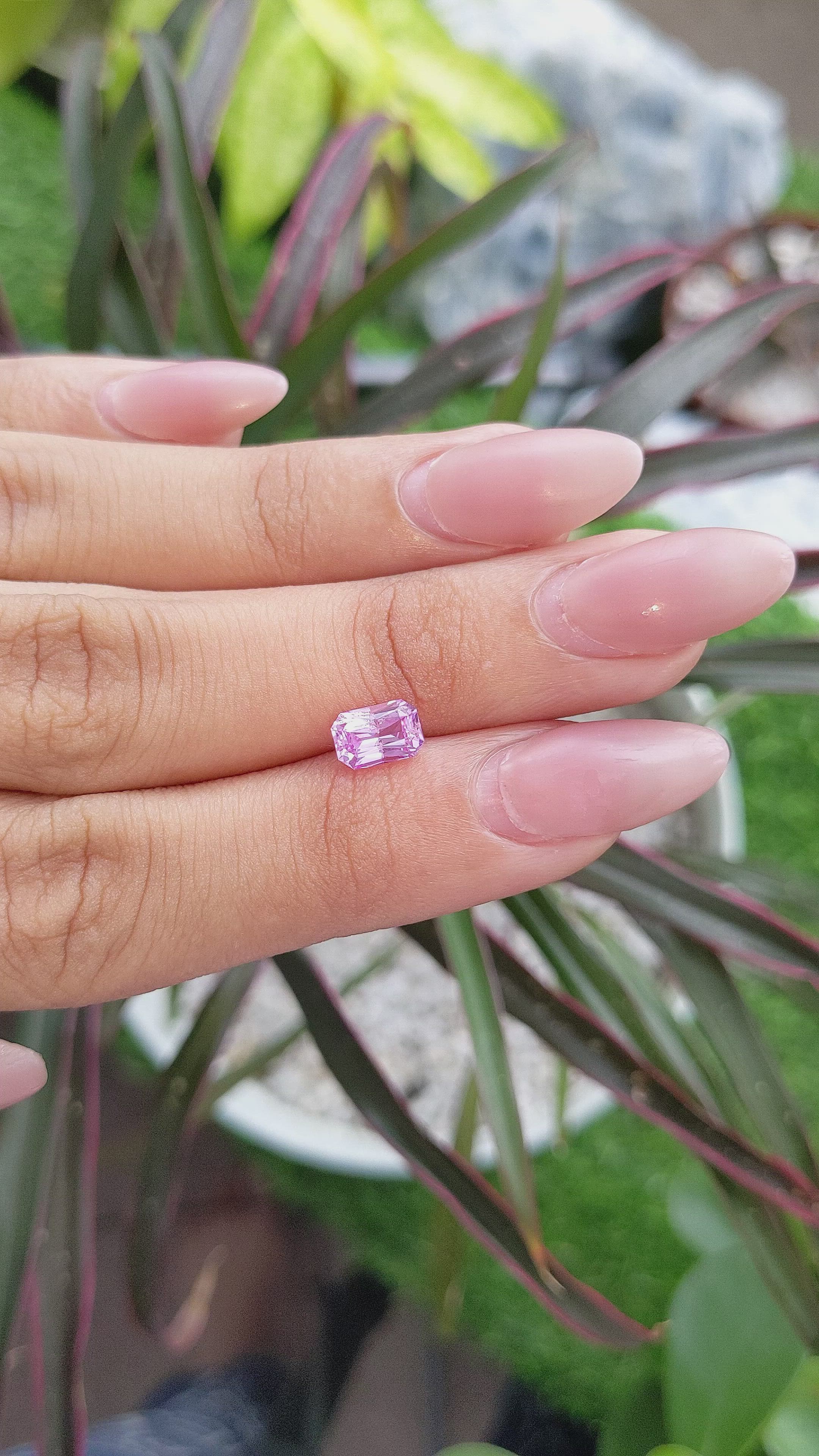 1.19 Ct. Pink Sapphire from Ceylon (Sri Lanka) Size Video