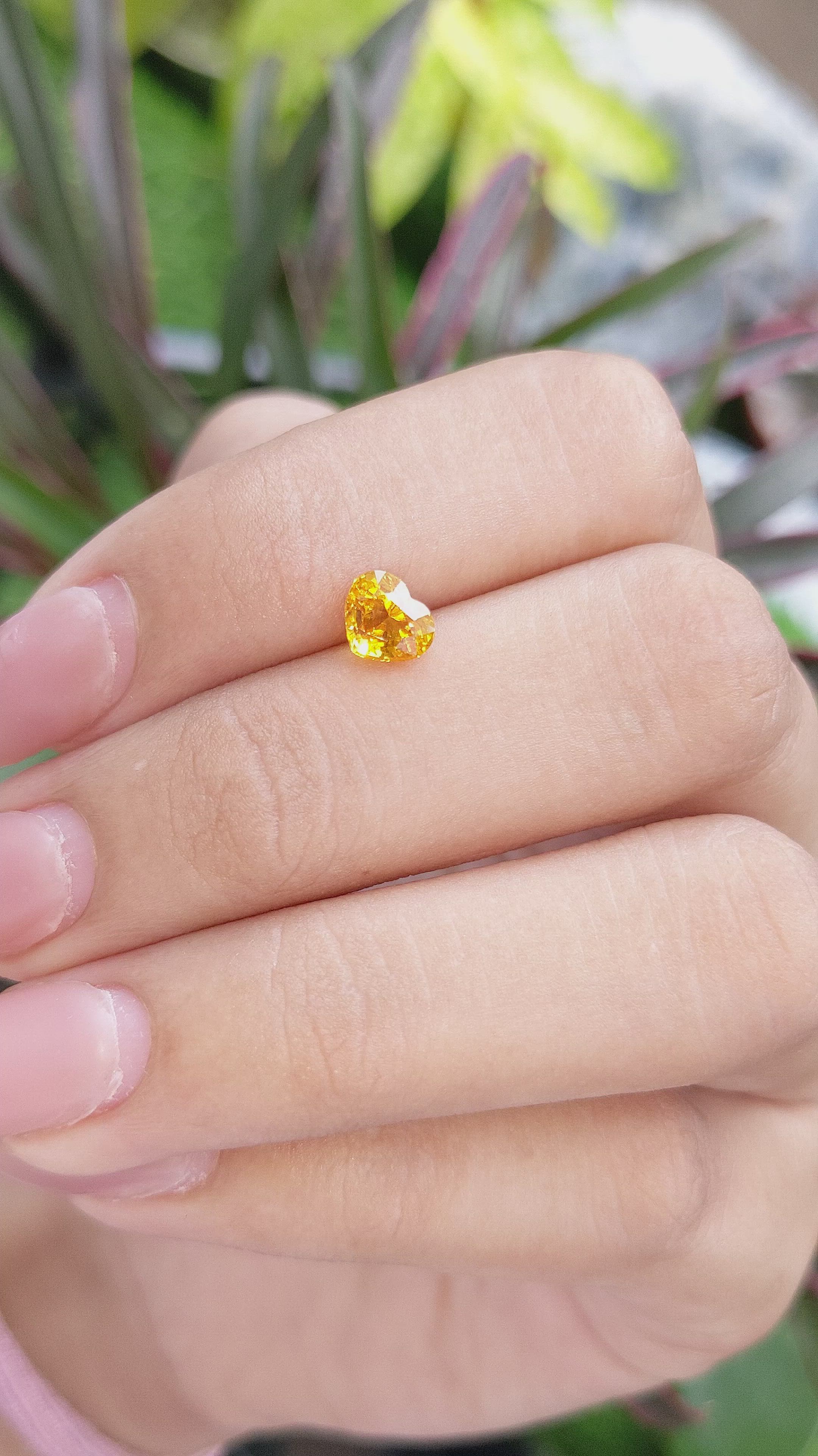 1.20 Ct. Orangish Yellow Sapphire from Ceylon (Sri Lanka) Size Video