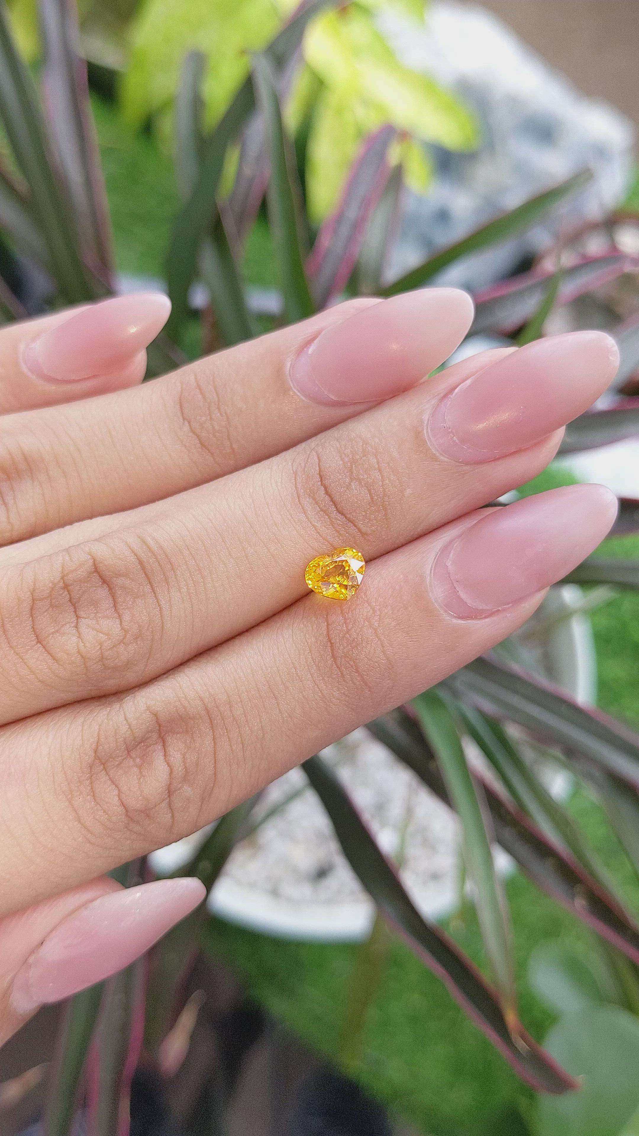 1.20 Ct. Orangish Yellow Sapphire from Ceylon (Sri Lanka) Size Video