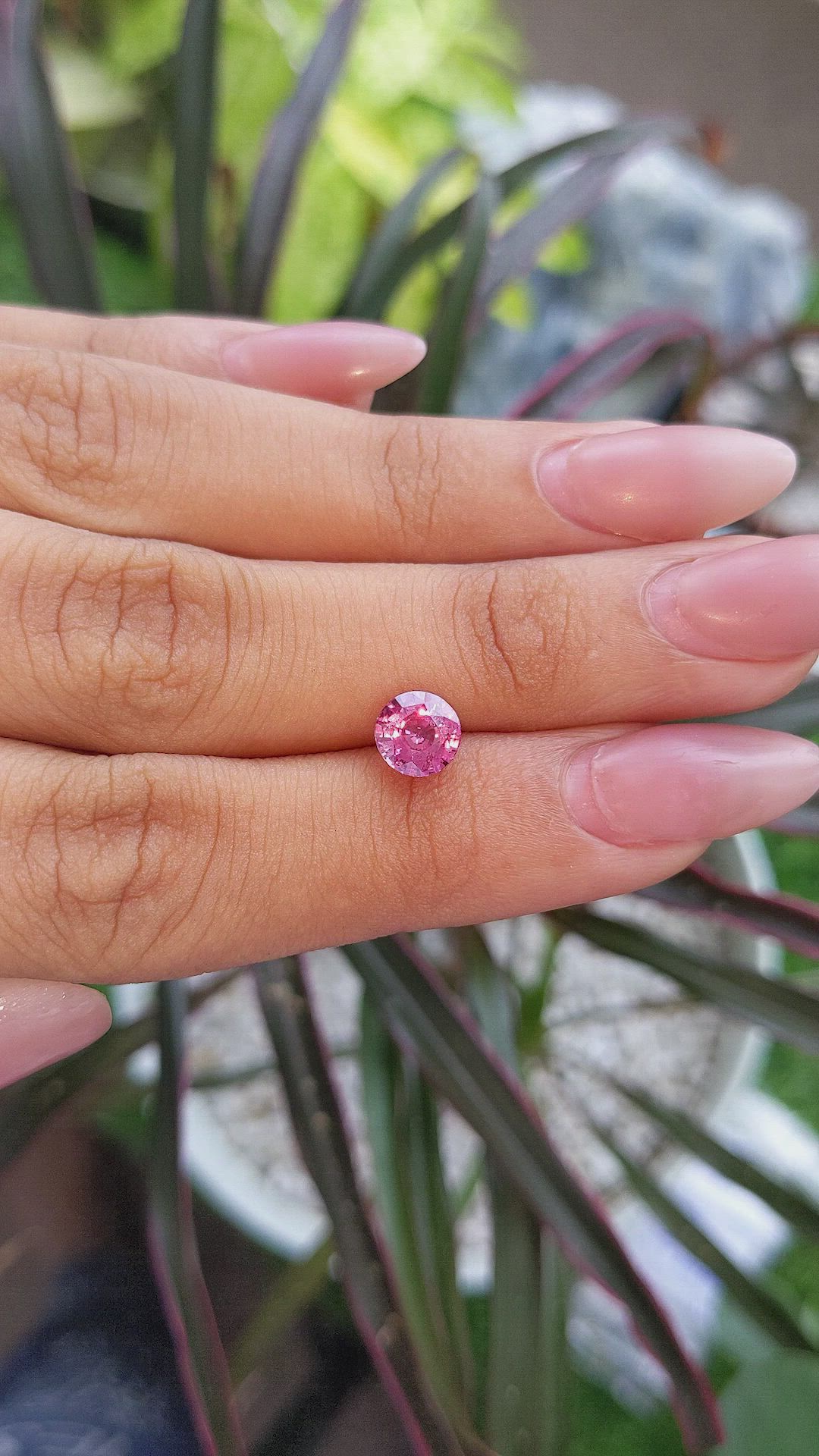 1.40 Ct. Pink Sapphire from Ceylon (Sri Lanka) Size Video