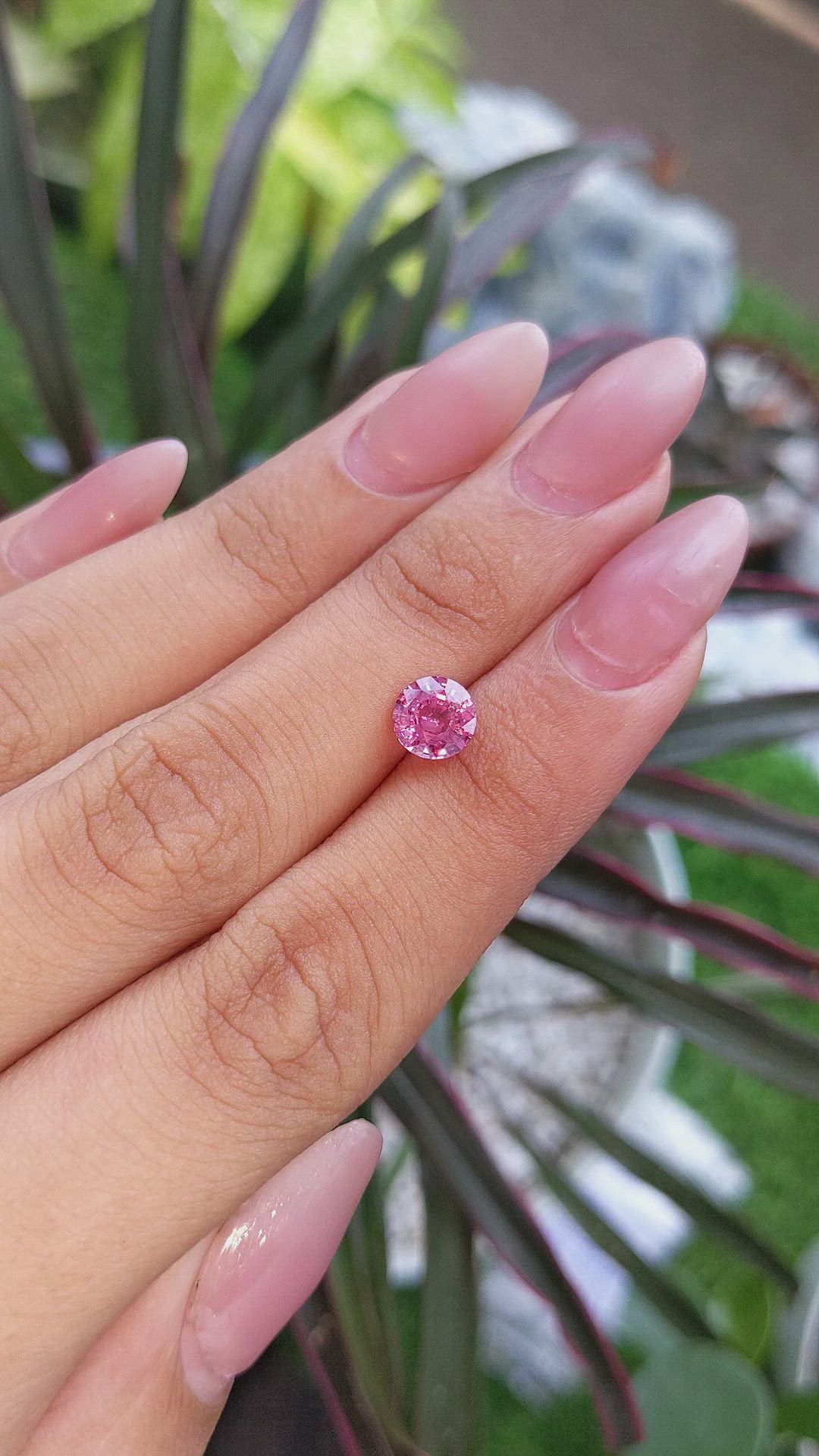 1.40 Ct. Pink Sapphire from Ceylon (Sri Lanka) Size Video