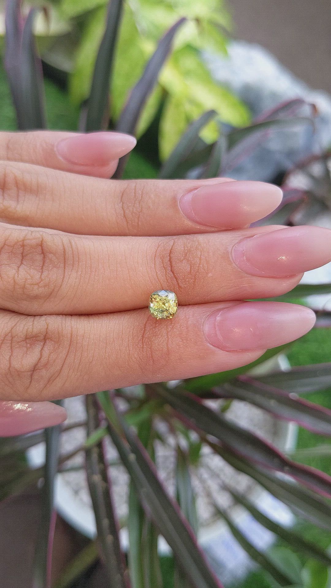 1.25 Ct. Bi Color Sapphire from Ceylon (Sri Lanka) Size Video