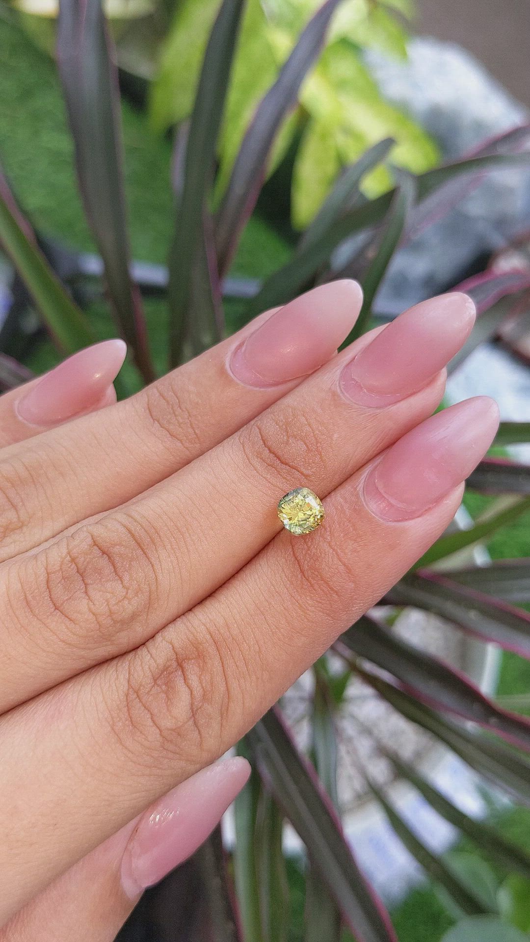 1.25 Ct. Bi Color Sapphire from Ceylon (Sri Lanka) Size Video