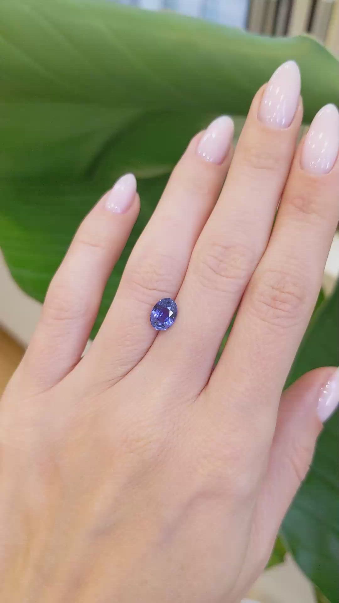 1.72 Ct. Blue Sapphire from Ceylon (Sri Lanka) Size Video
