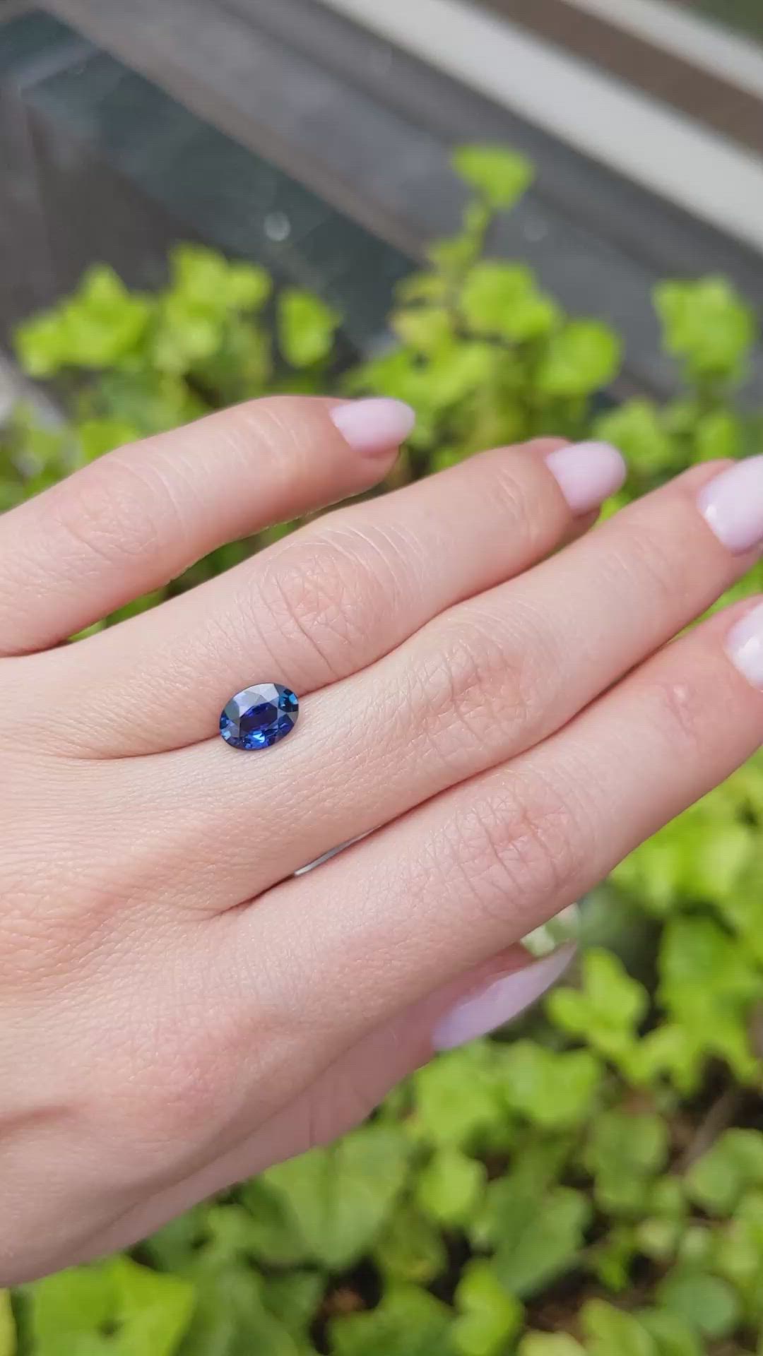 1.43 Ct. Blue Sapphire from Ceylon (Sri Lanka) Size Video