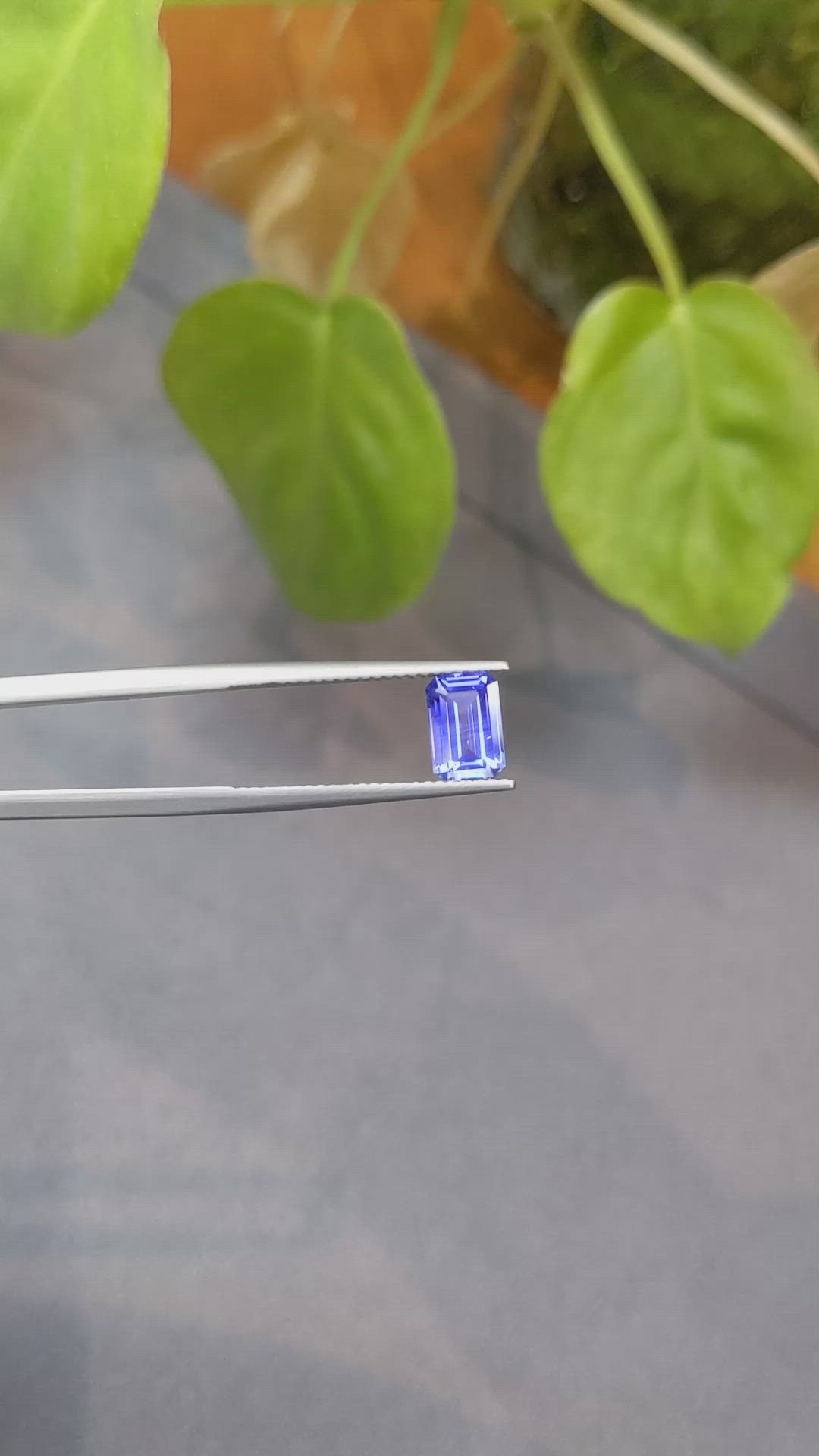 1.54 Ct. Blue Sapphire from Ceylon (Sri Lanka) Size Video