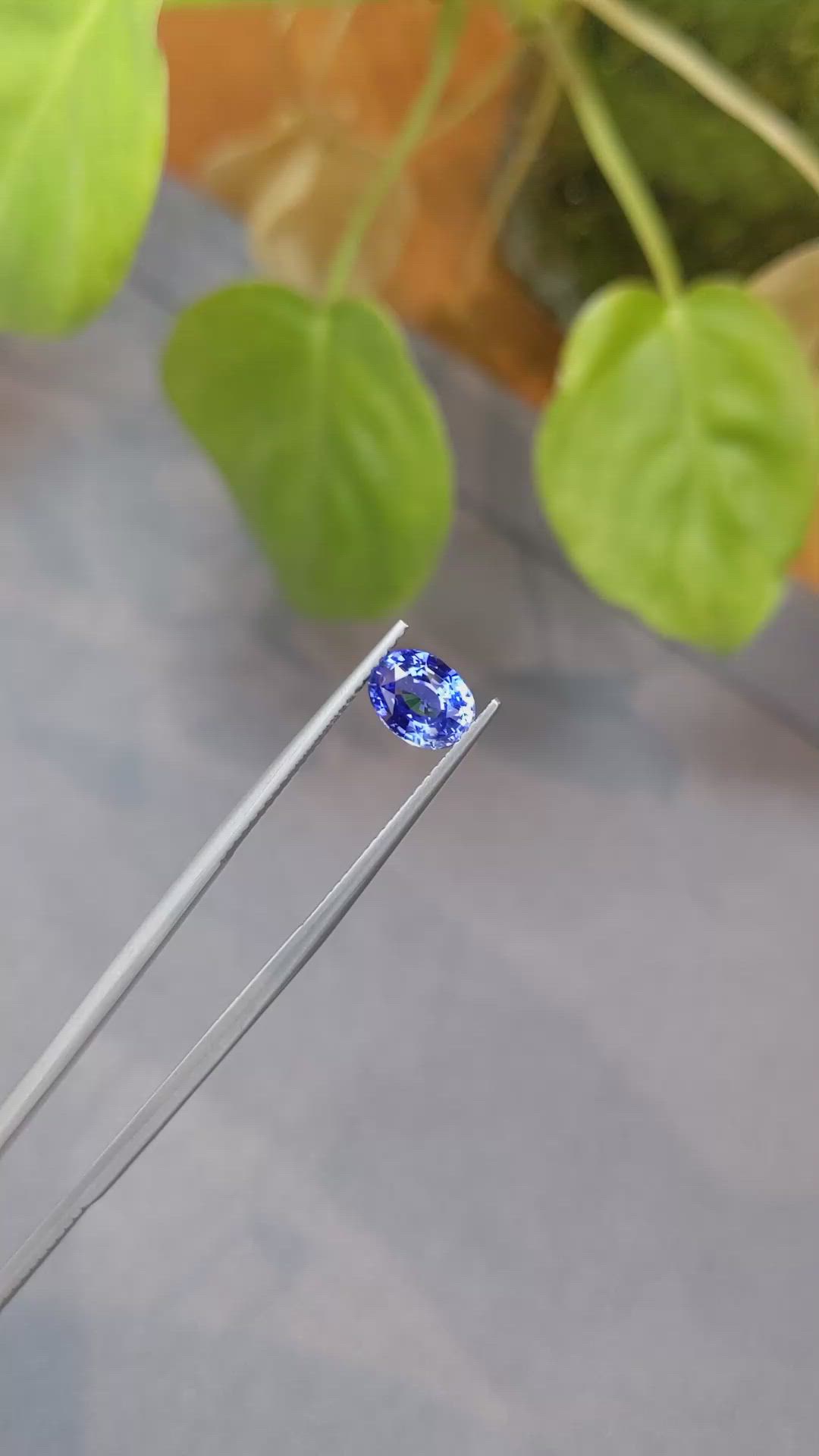1.56 Ct. Blue Sapphire from Ceylon (Sri Lanka) Size Video