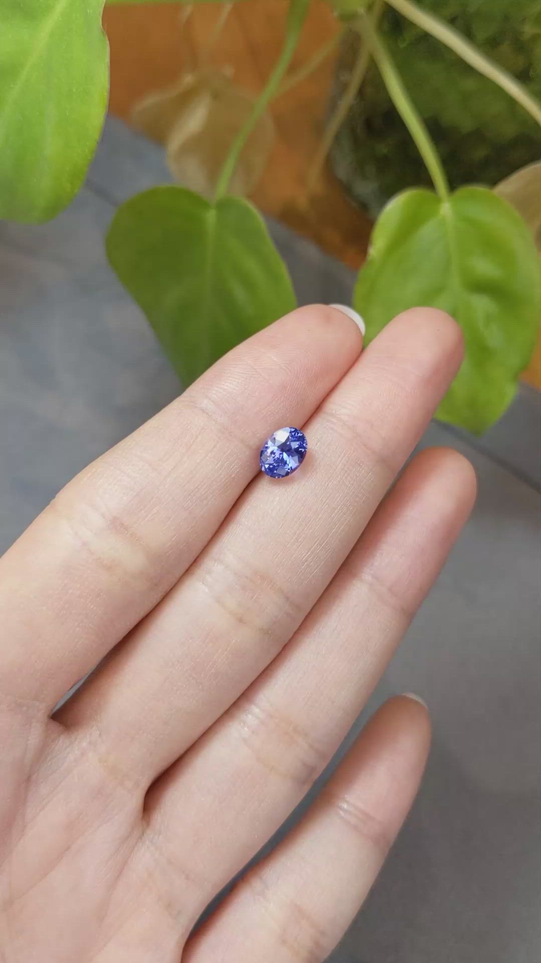 1.68 Ct. Blue Sapphire from Ceylon (Sri Lanka) Size Video
