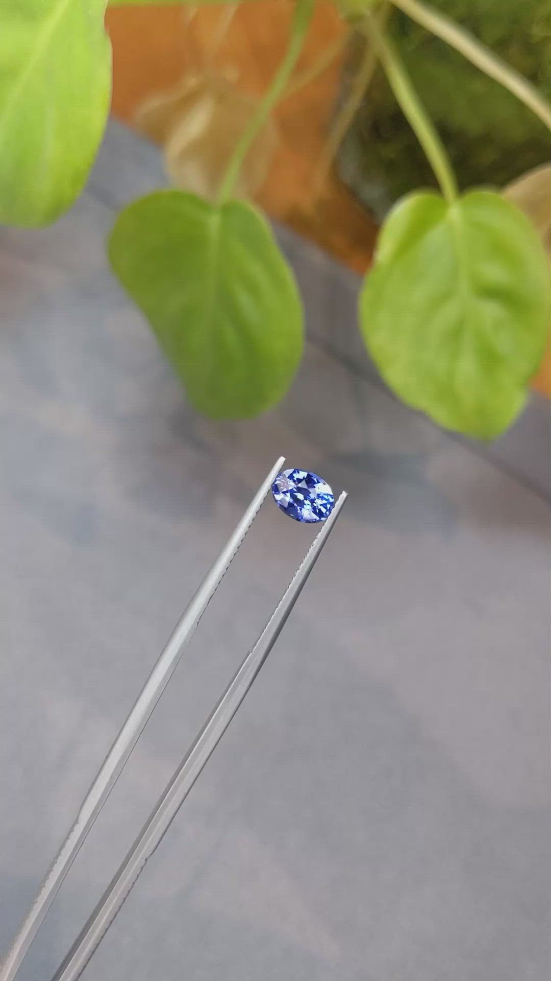 1.68 Ct. Blue Sapphire from Ceylon (Sri Lanka) Size Video
