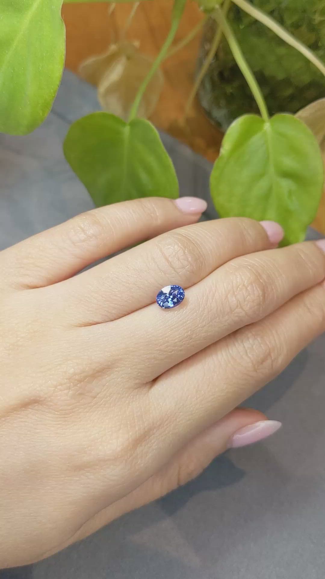1.68 Ct. Blue Sapphire from Ceylon (Sri Lanka) Size Video
