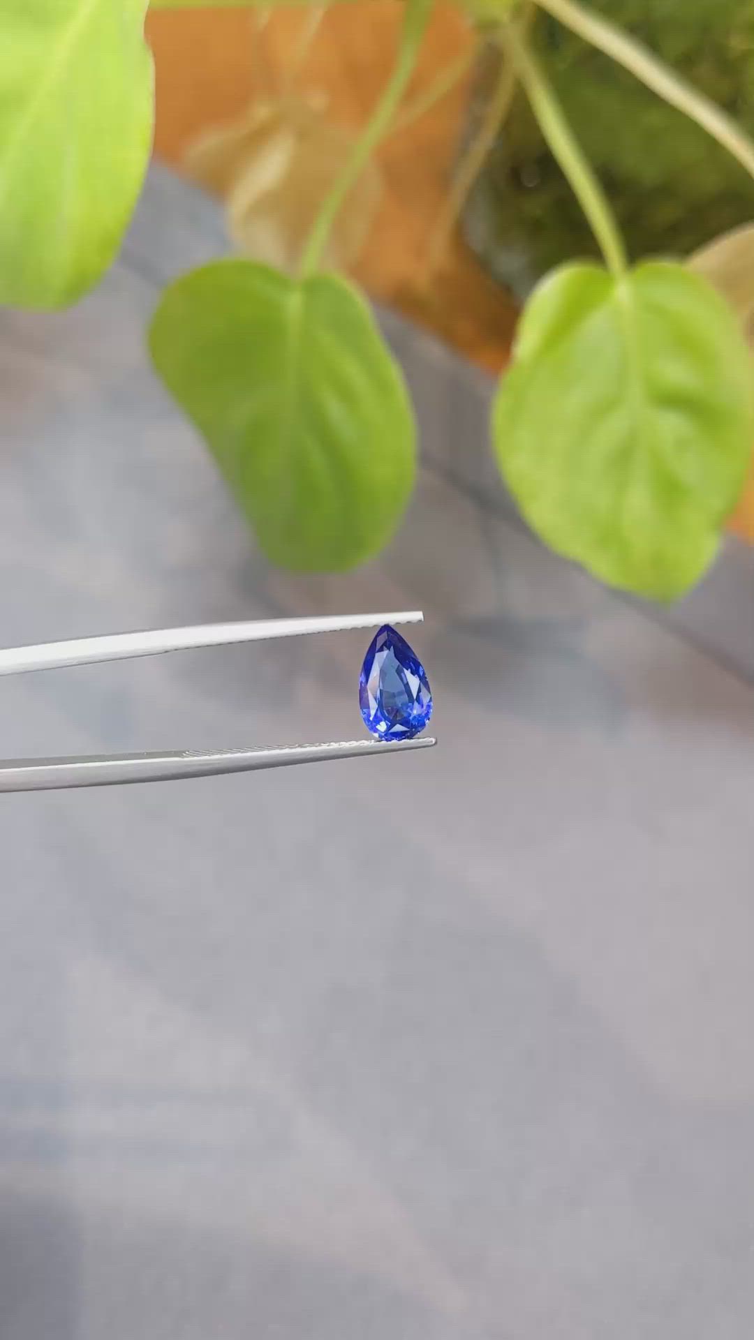 1.55 Ct. Blue Sapphire from Ceylon (Sri Lanka) Size Video