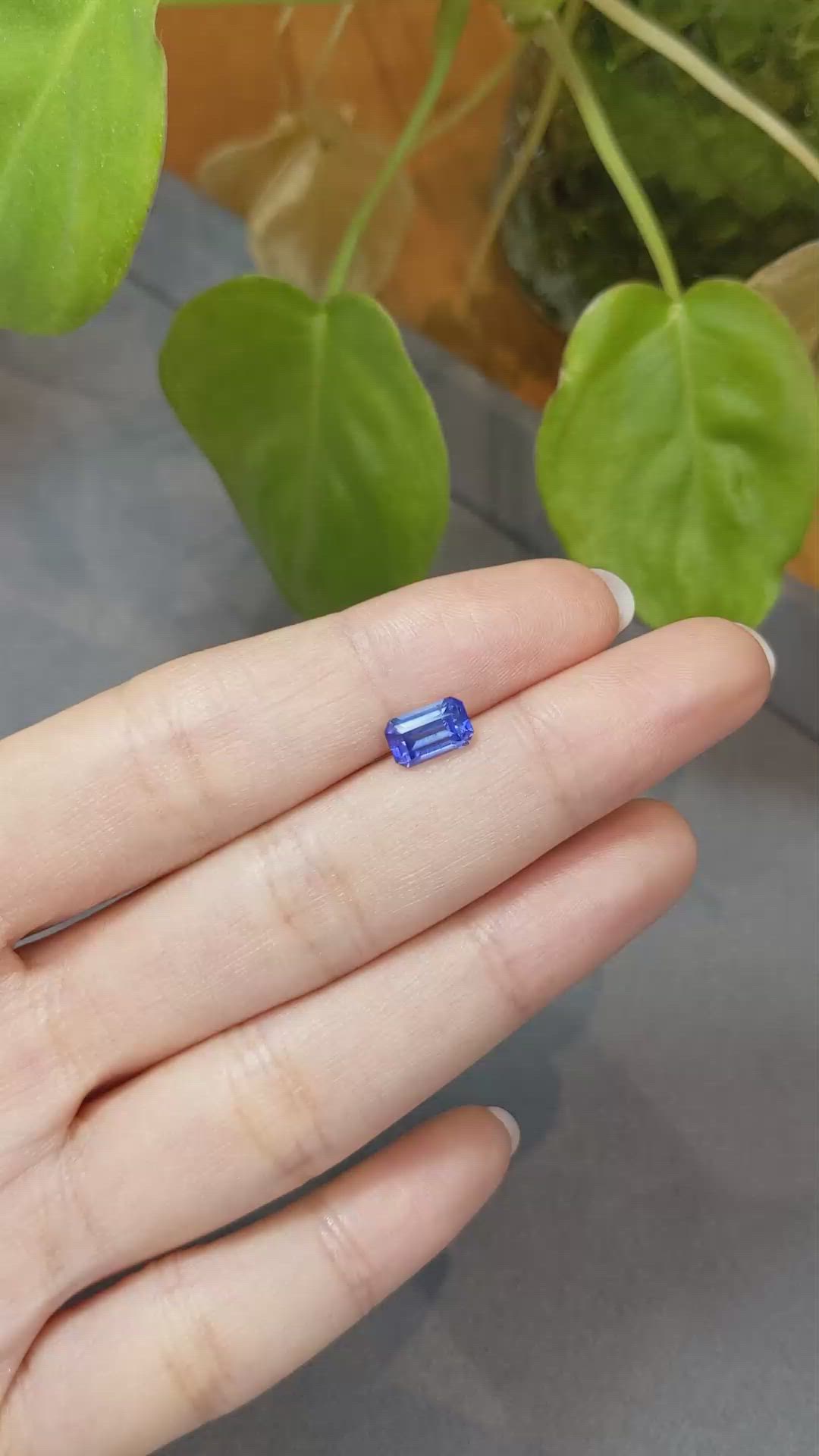 1.65 Ct. Blue Sapphire from Ceylon (Sri Lanka) Size Video