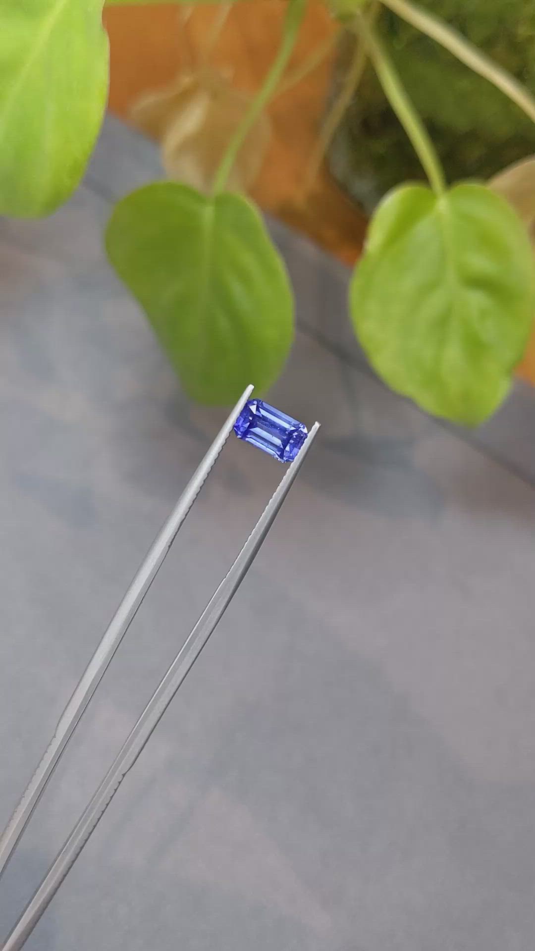 1.65 Ct. Blue Sapphire from Ceylon (Sri Lanka) Size Video