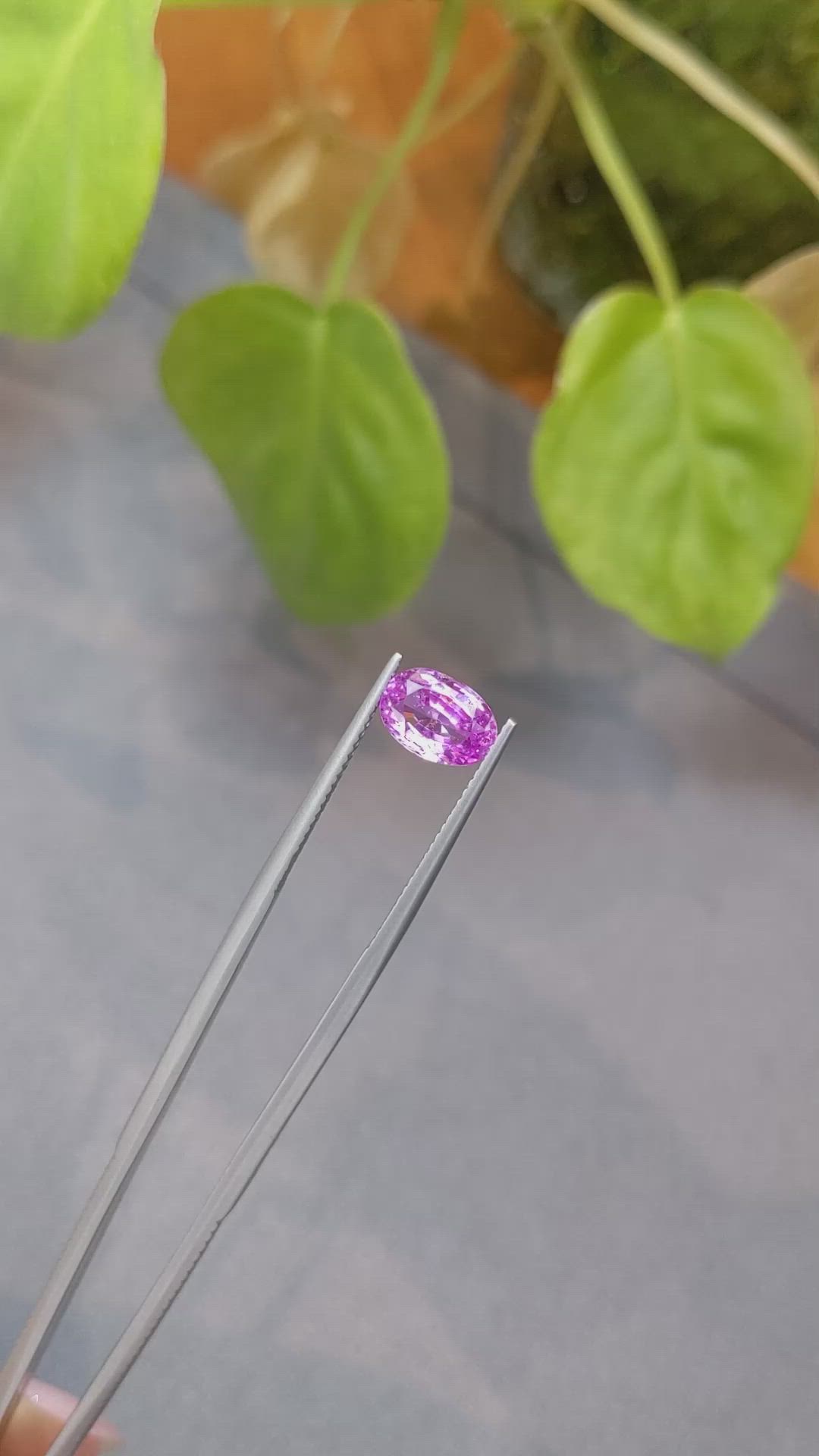 2.09 Ct. Purplish Pink Sapphire from Ceylon (Sri Lanka) Size Video