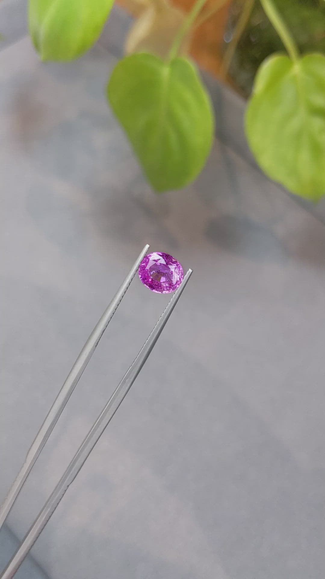 2.18 Ct. Pink Sapphire from Ceylon (Sri Lanka) Size Video