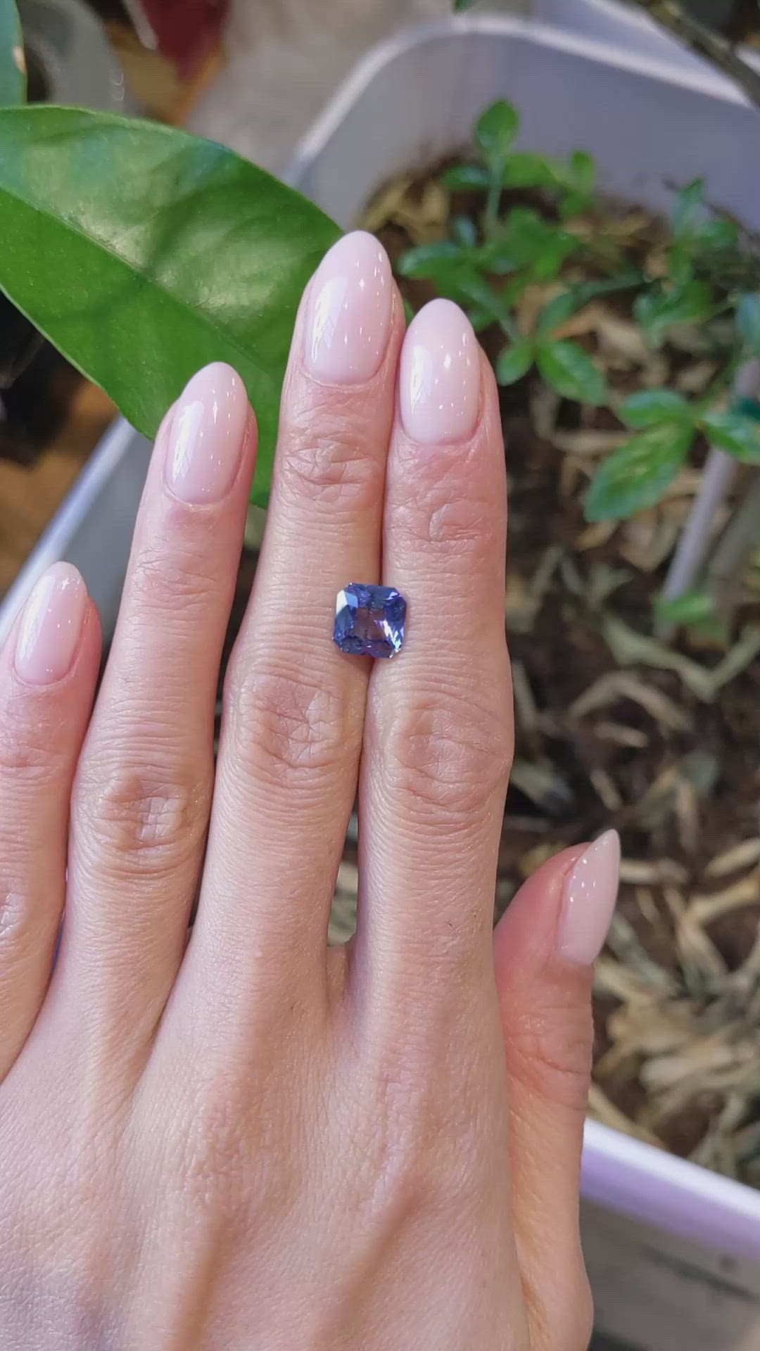 2.40 Ct. Purplish Blue Sapphire from Ceylon (Sri Lanka) Size Video