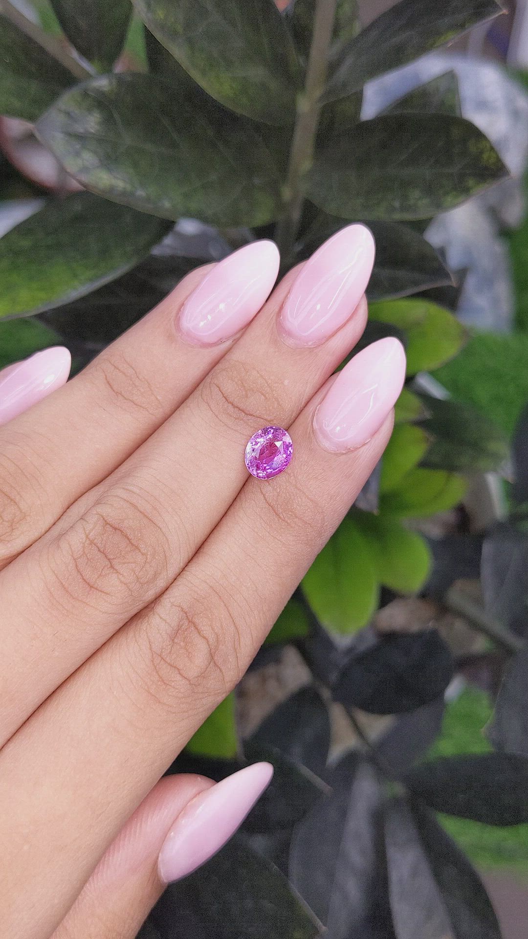 1.52 Ct. Pink Sapphire from Ceylon (Sri Lanka) Size Video