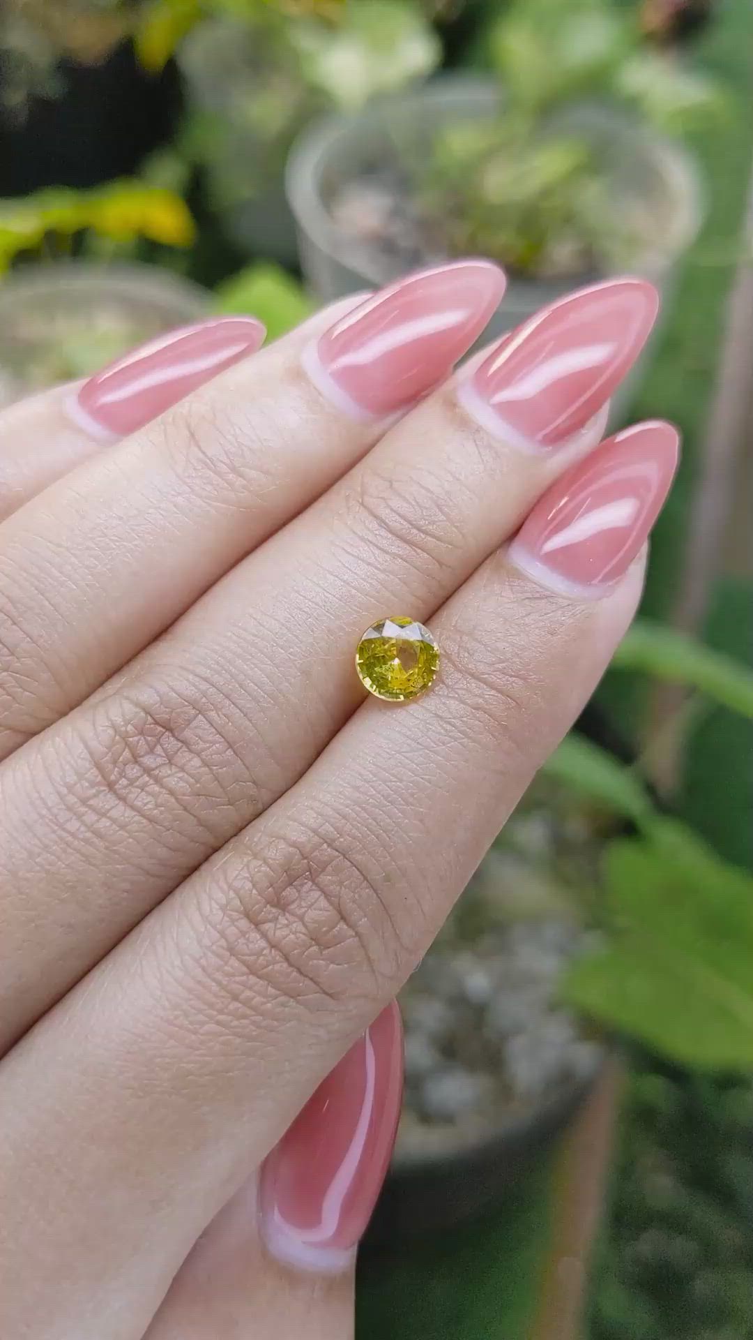 1.31 Ct. Yellow Sapphire from Ceylon (Sri Lanka) Size Video