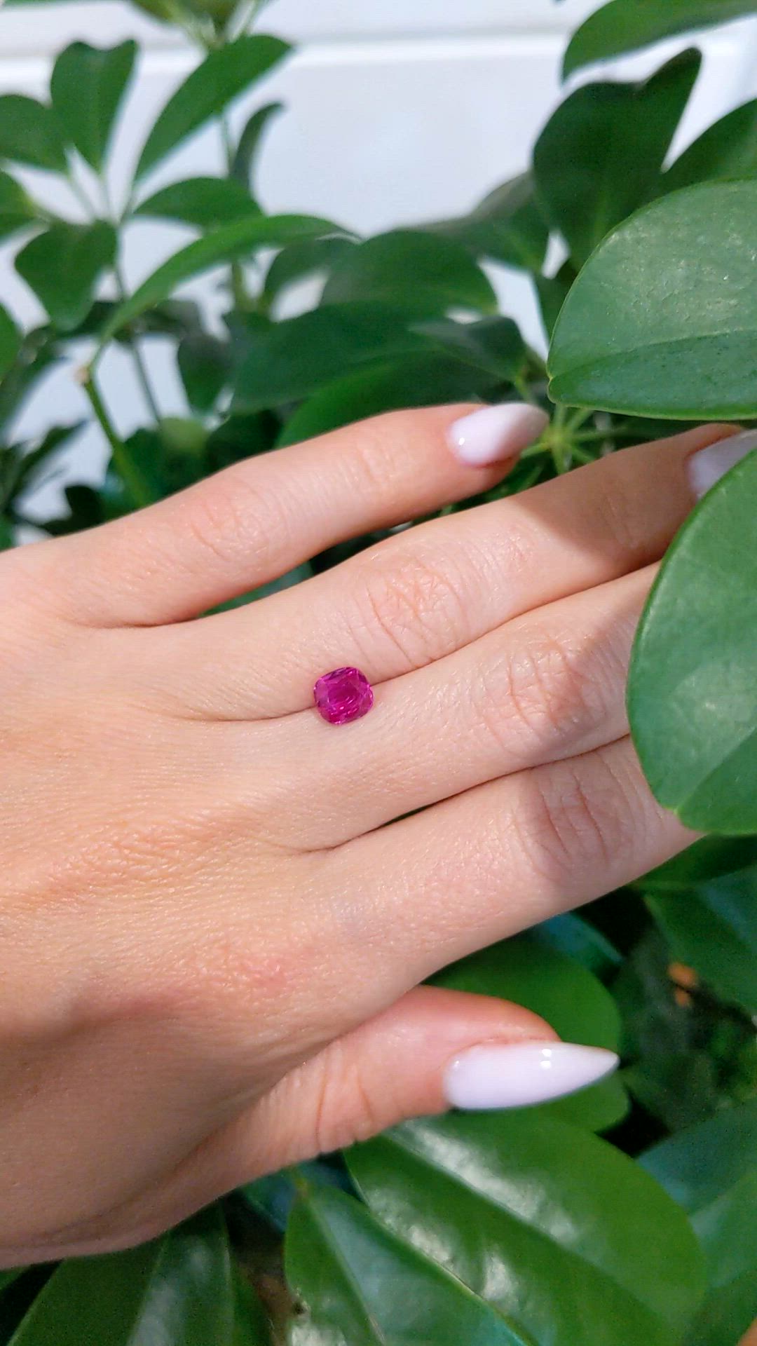 1.55 Ct. Pink Sapphire from Burma (Myanmar) Size Video