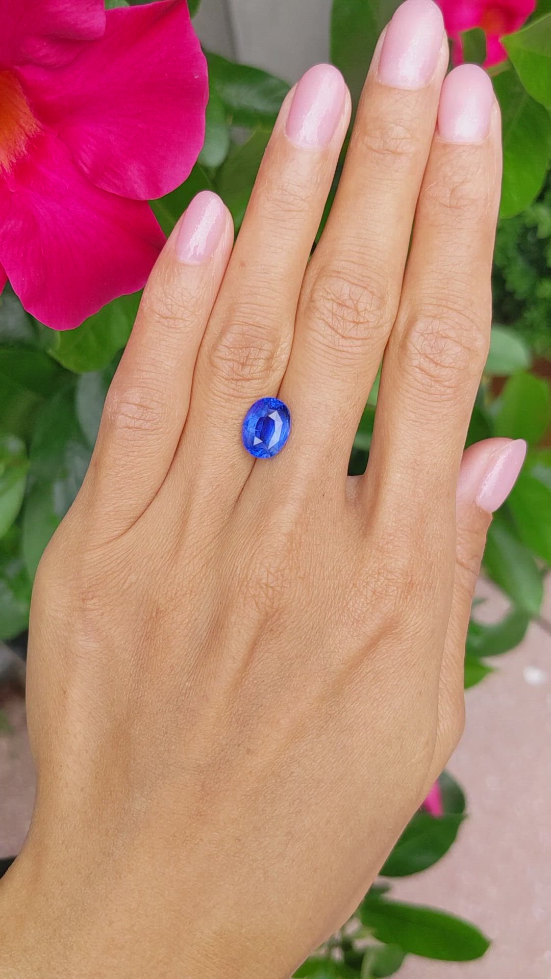 4.55 Ct. Blue Sapphire from Ceylon (Sri Lanka) Size Video