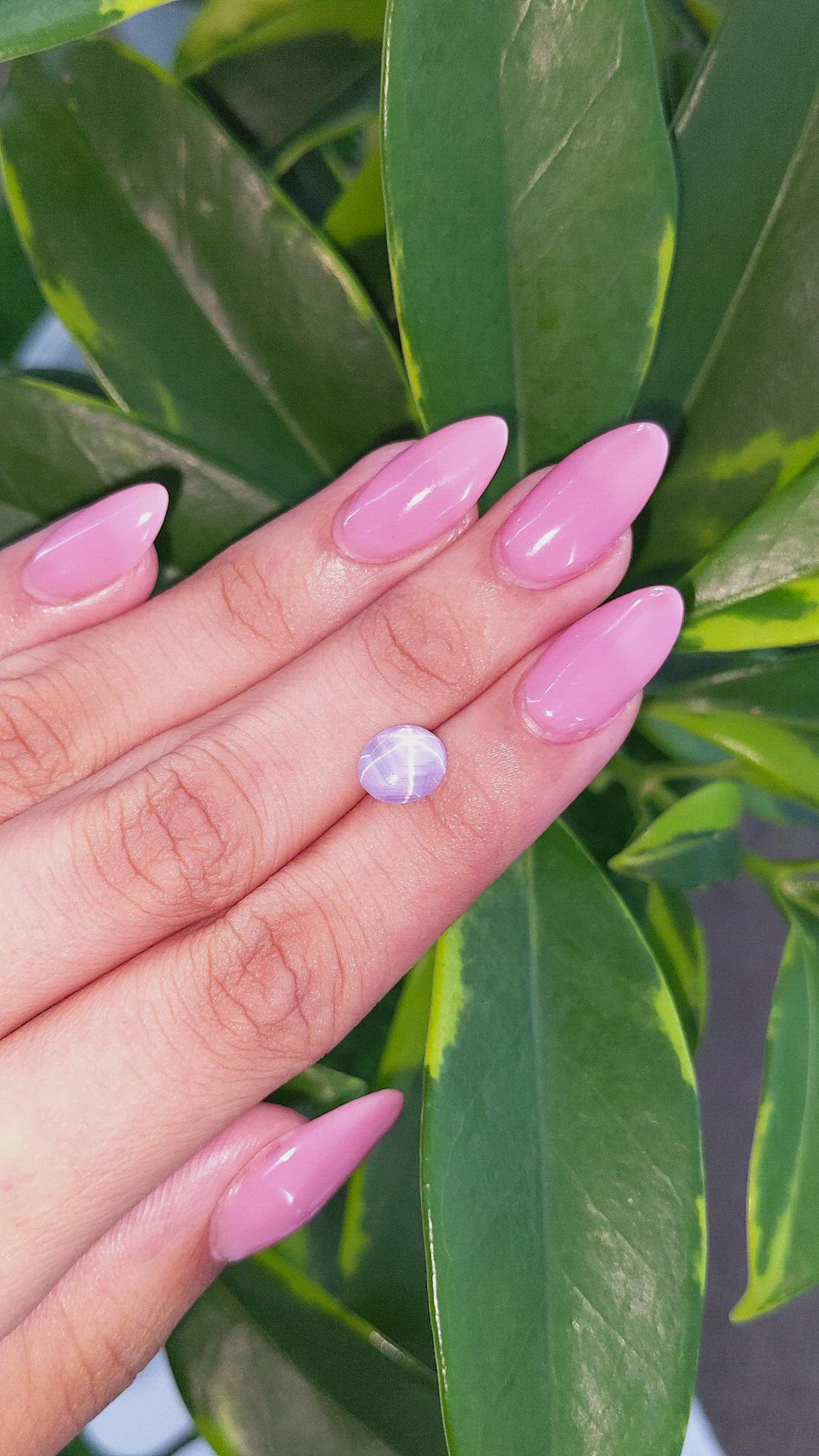 2.96 Ct. Violet Star Sapphire from Ceylon (Sri Lanka) Size Video