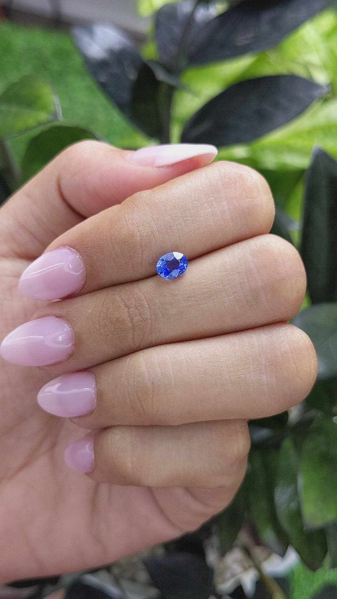 1.05 Ct. Blue Sapphire from Ceylon (Sri Lanka) Size Video