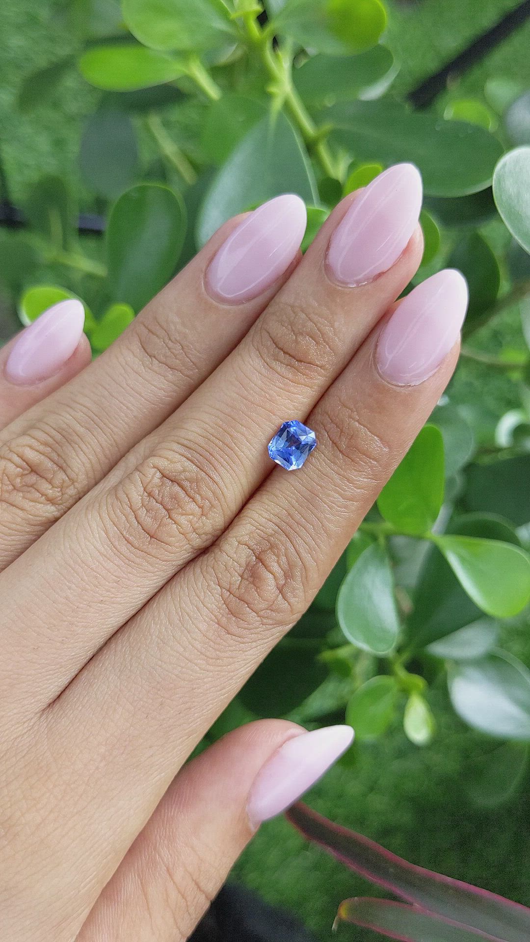 1.29 Ct. Blue Sapphire from Ceylon (Sri Lanka) Size Video