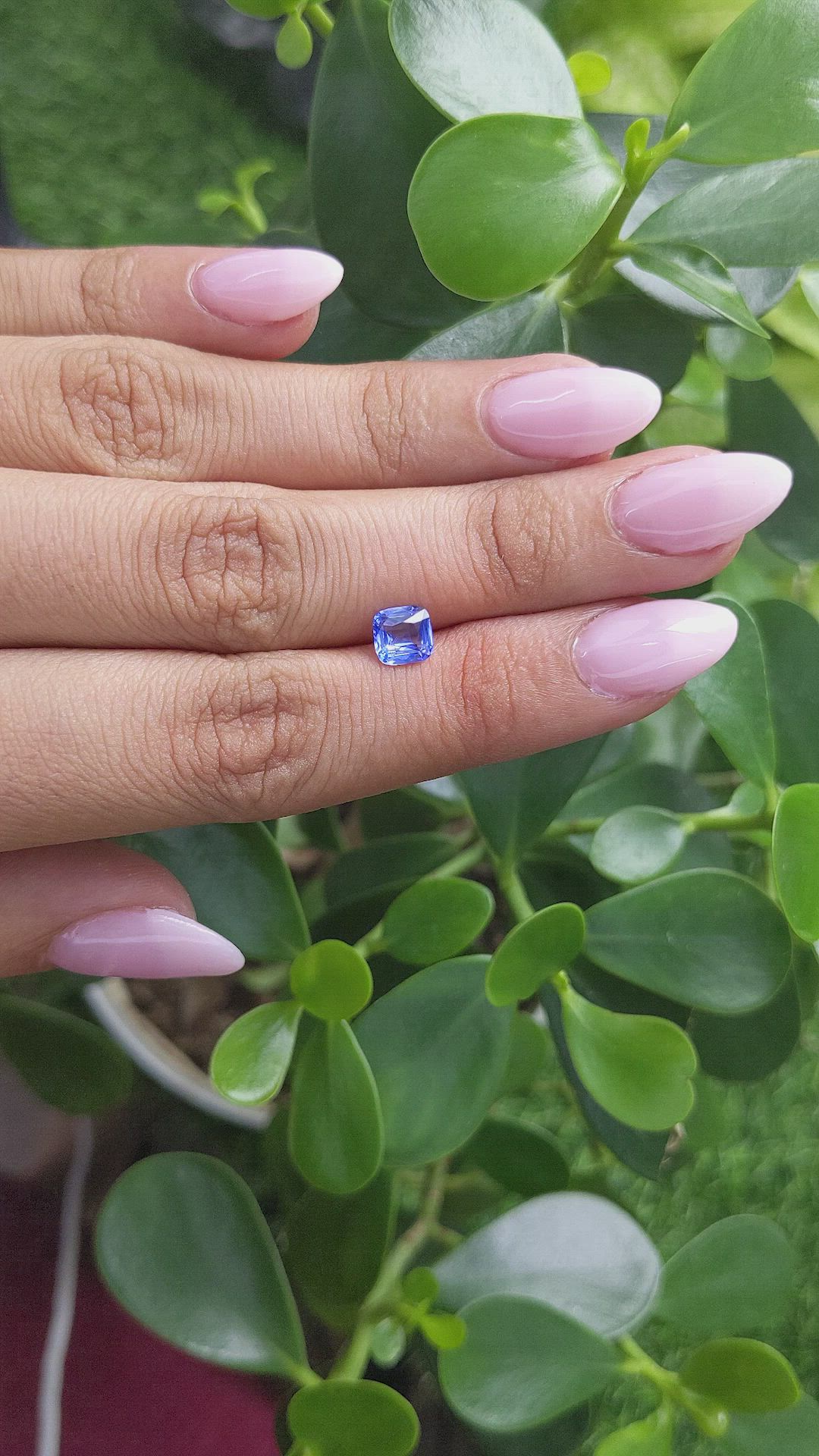 1.04 Ct. Blue Sapphire from Ceylon (Sri Lanka) Size Video