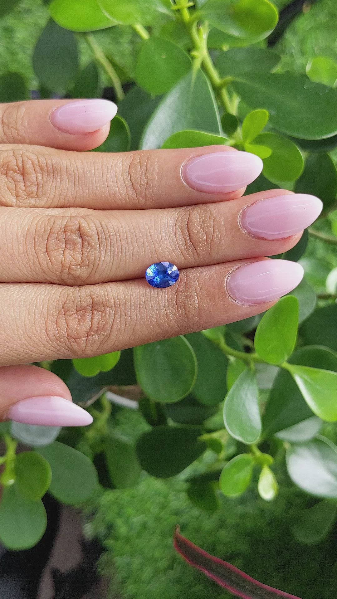 1.22 Ct. Blue Sapphire from Ceylon (Sri Lanka) Size Video