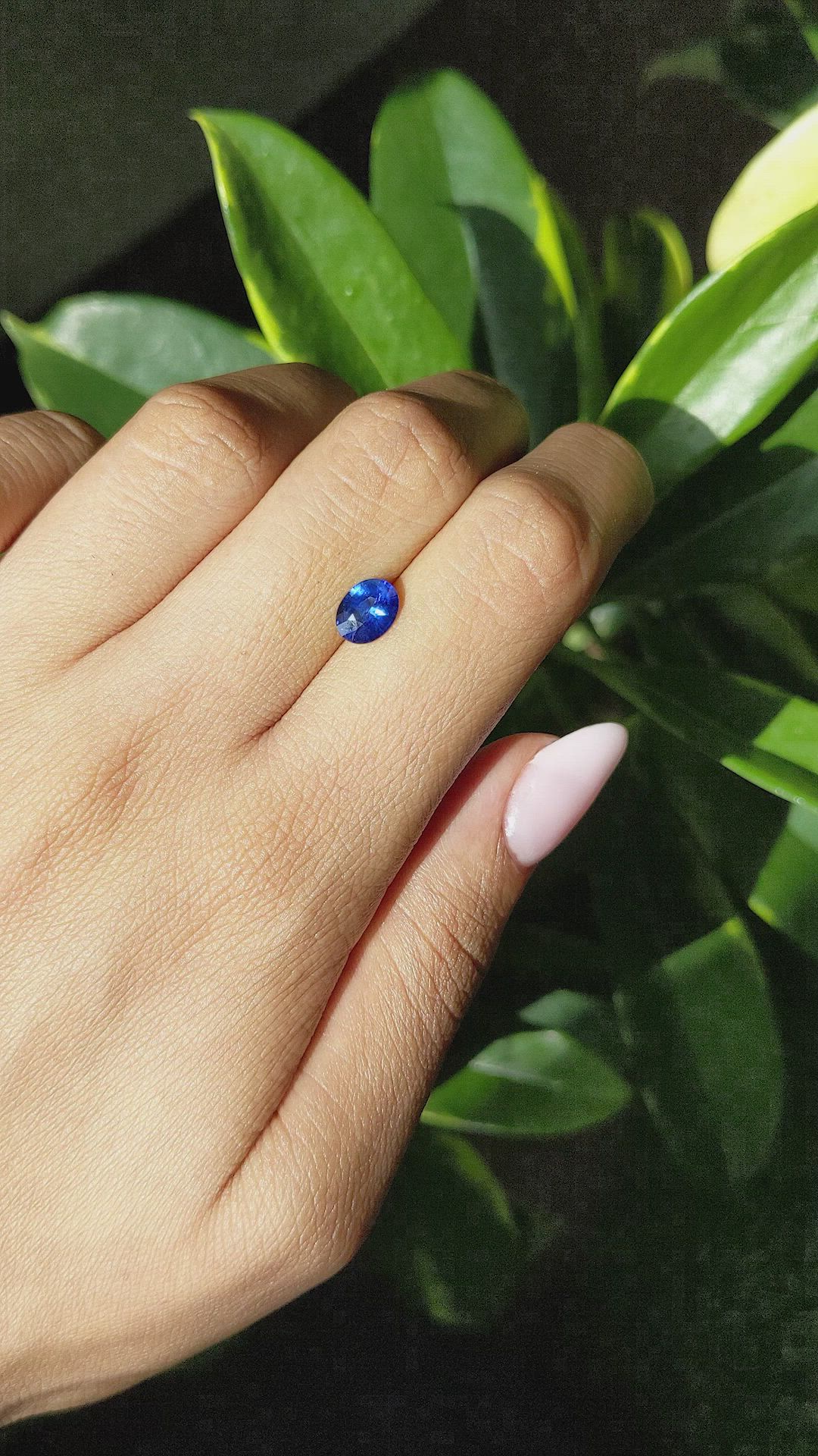 1.22 Ct. Blue Sapphire from Ceylon (Sri Lanka) Size Video