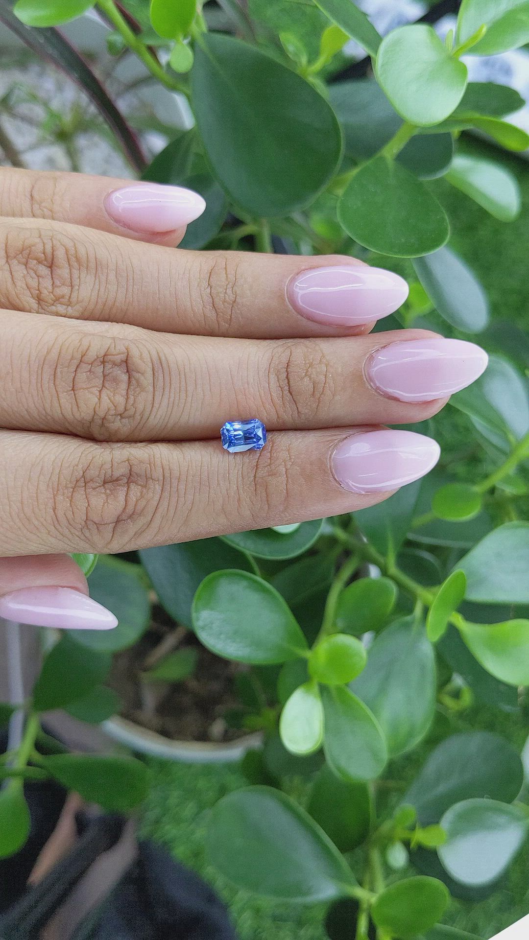 1.37 Ct. Blue Sapphire from Ceylon (Sri Lanka) Size Video