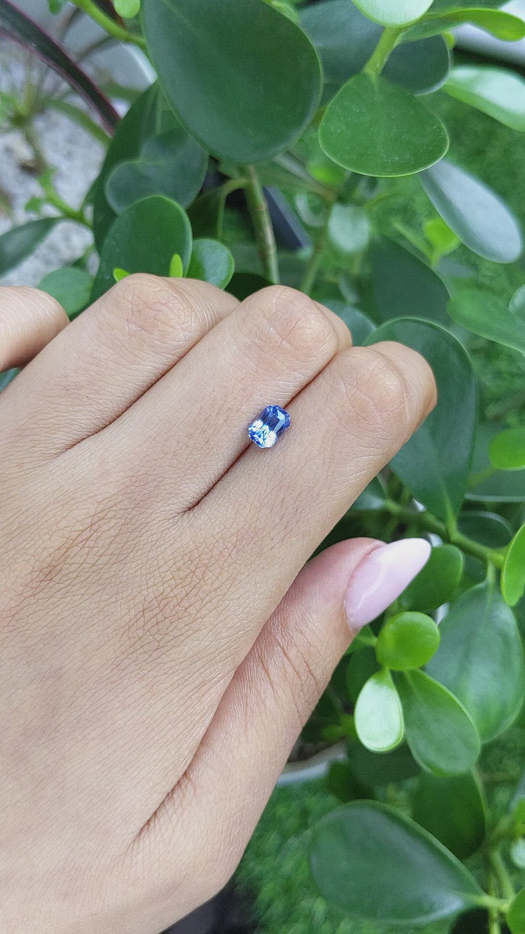 1.37 Ct. Blue Sapphire from Ceylon (Sri Lanka) Size Video