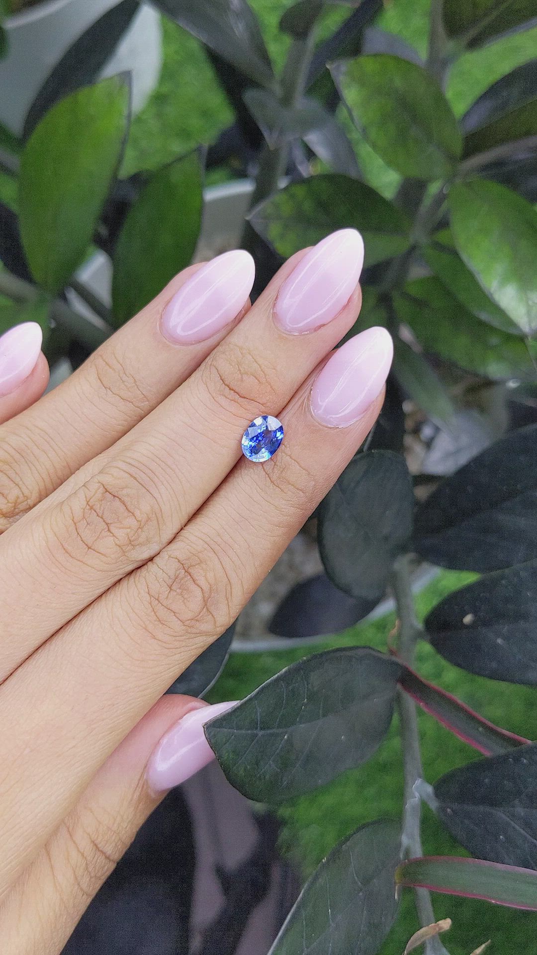 1.20 Ct. Sapphire from Ceylon (Sri Lanka) Size Video
