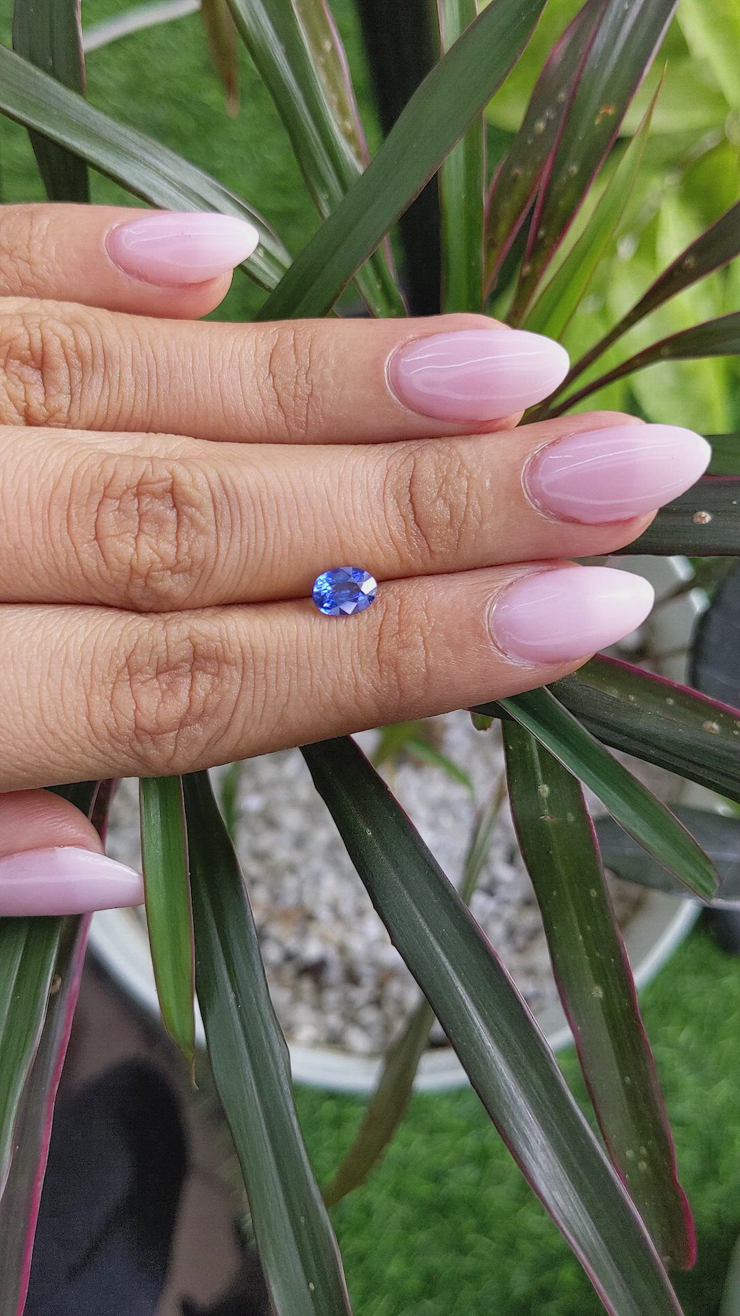 1.07 Ct. Blue Sapphire from Ceylon (Sri Lanka) Size Video