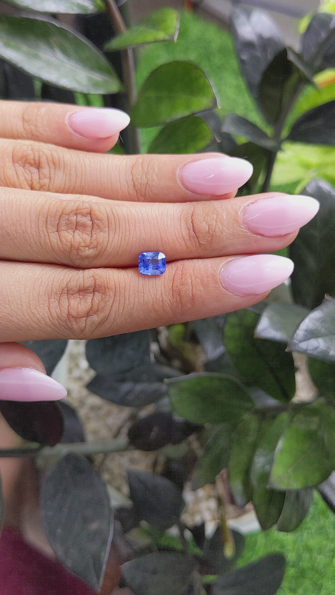 1.50 Ct. Blue Sapphire from Ceylon (Sri Lanka) Size Video