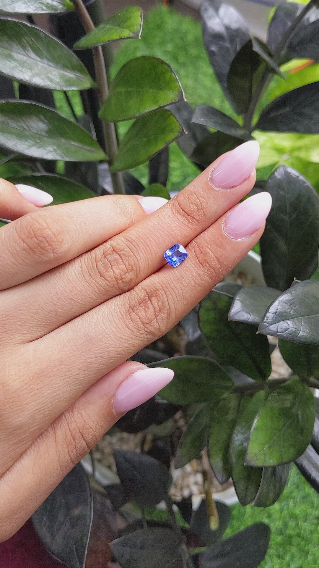 1.50 Ct. Blue Sapphire from Ceylon (Sri Lanka) Size Video
