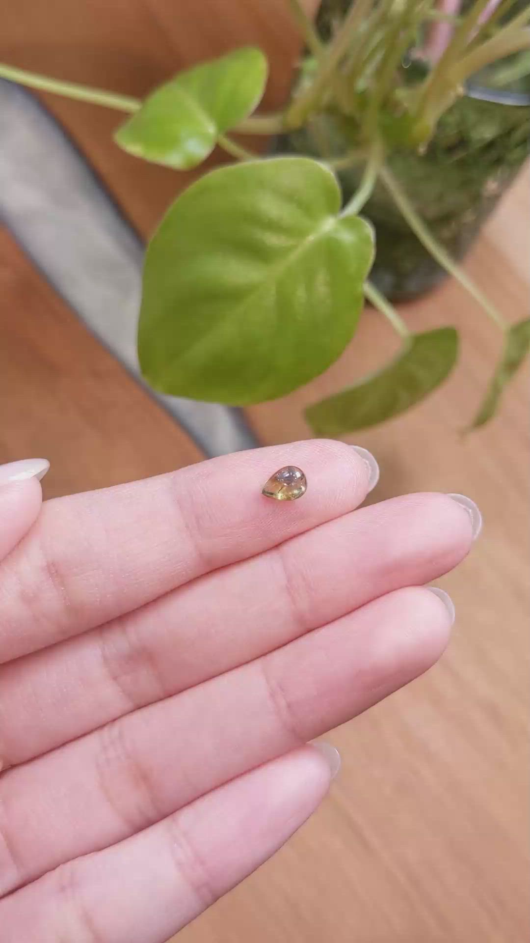 0.78 Ct. Bi Color Cabochon Sapphire from Montana Size Video