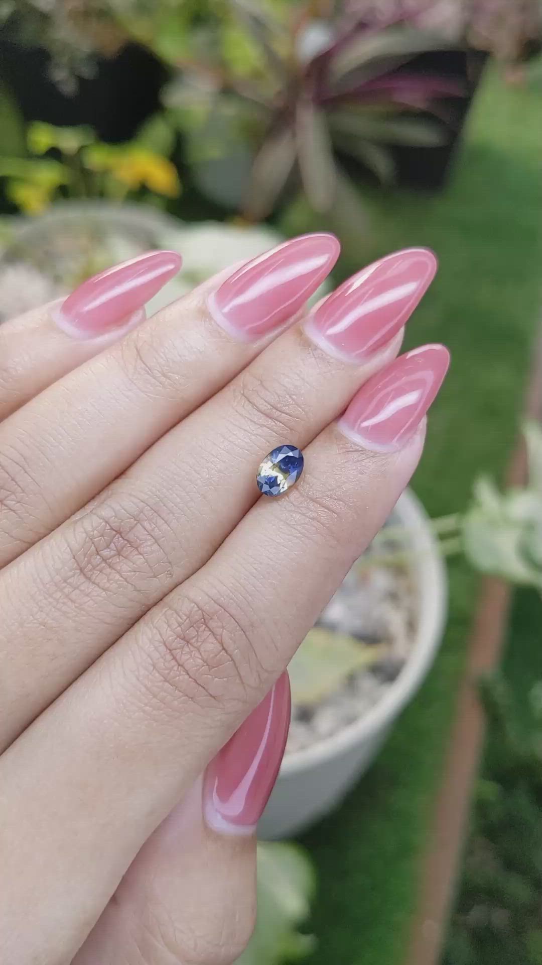 1.29 Ct. Bi Color Sapphire from Ceylon (Sri Lanka) Size Video