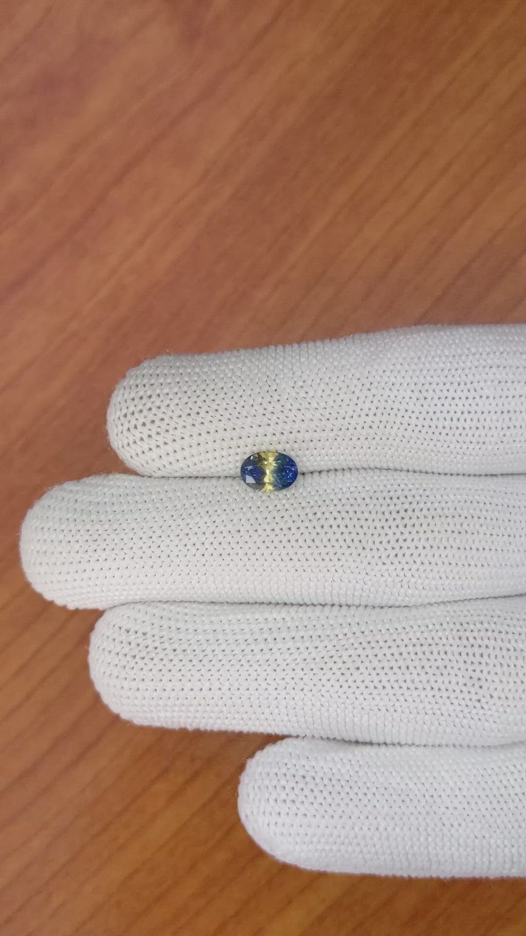 1.29 Ct. Bi Color Sapphire from Ceylon (Sri Lanka) Size Video