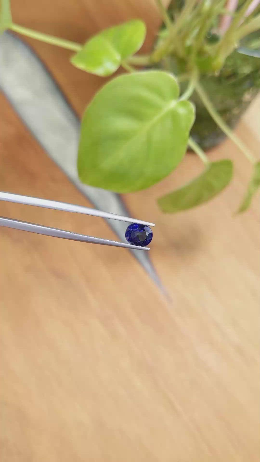 1.62 Ct. Blue Sapphire from Ceylon (Sri Lanka) Size Video
