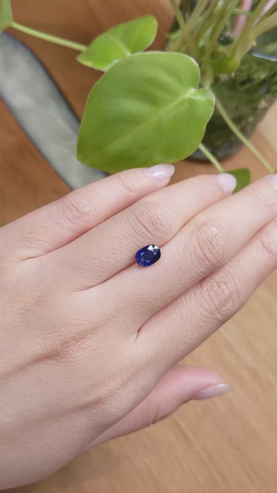 1.68 Ct. Blue Sapphire from Ceylon (Sri Lanka) Size Video