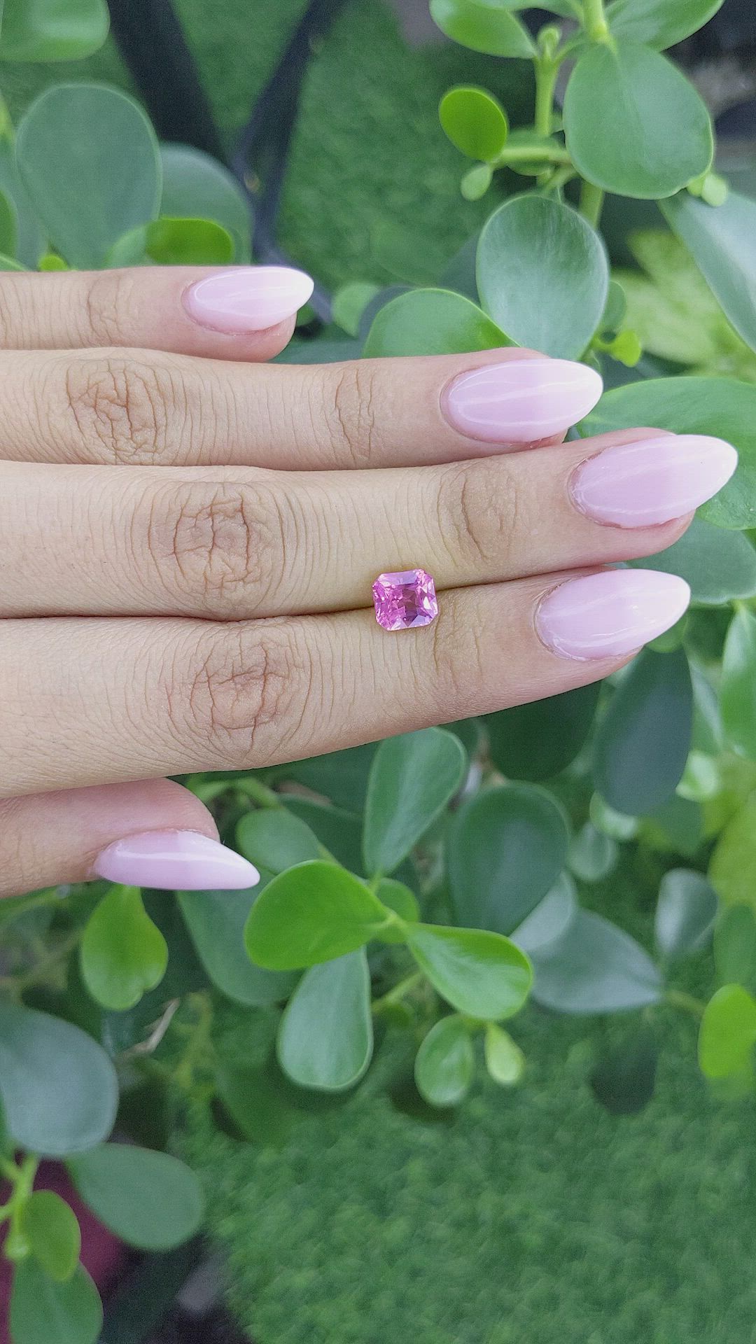 1.67 Ct. Pink Sapphire from Ceylon (Sri Lanka) Size Video