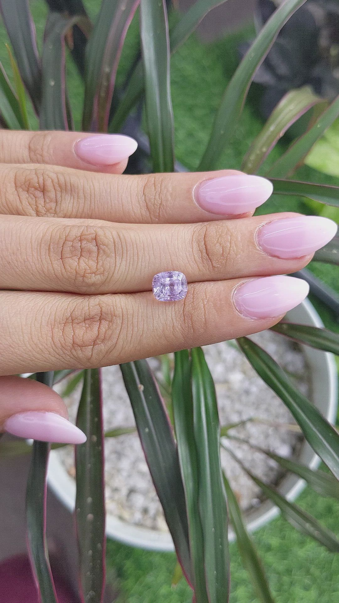 3.23 Ct. Purple Sapphire from Ceylon (Sri Lanka) Size Video