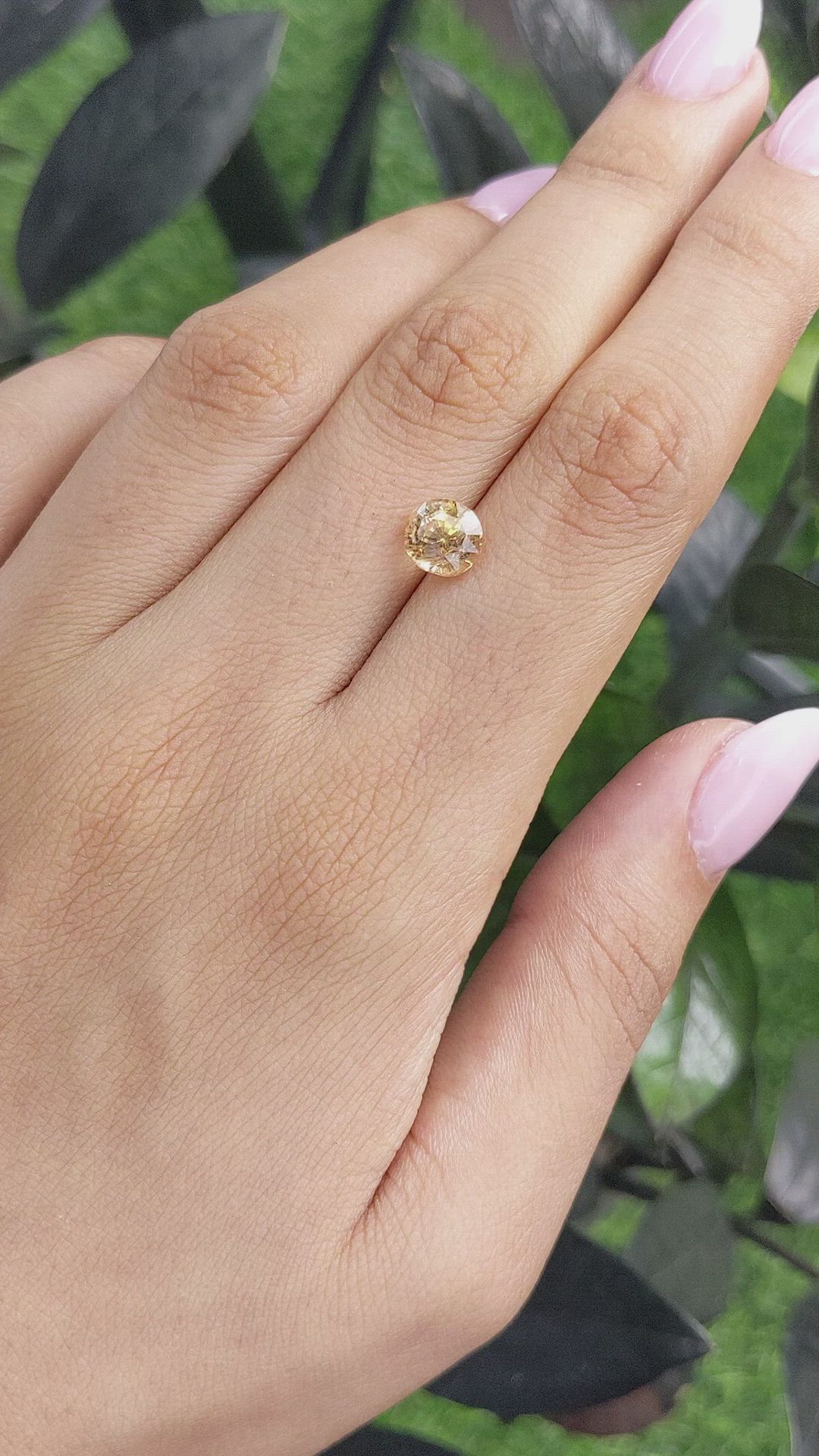 2.45 Ct. Peach Sapphire from Ceylon (Sri Lanka) Size Video