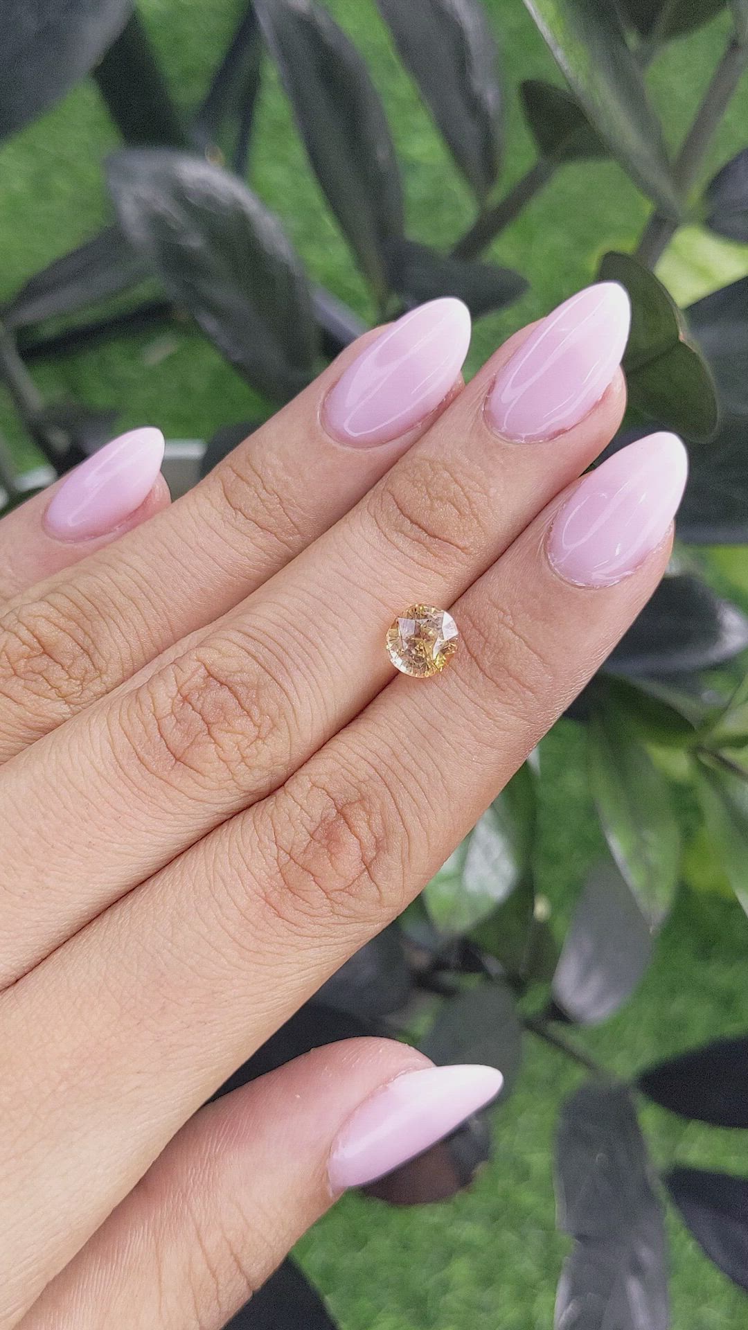 2.45 Ct. Peach Sapphire from Ceylon (Sri Lanka) Size Video