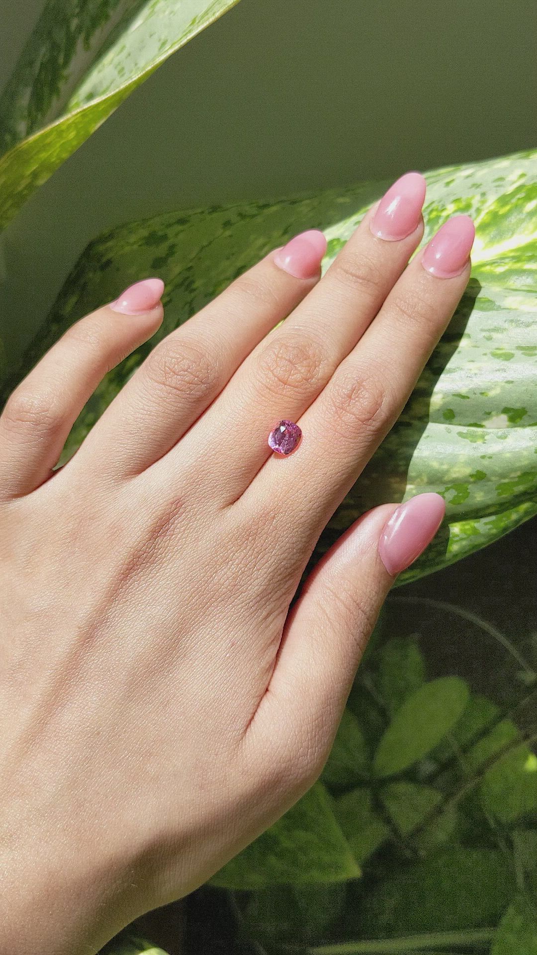 2.14 Ct. Pink Sapphire from Ceylon (Sri Lanka) Size Video