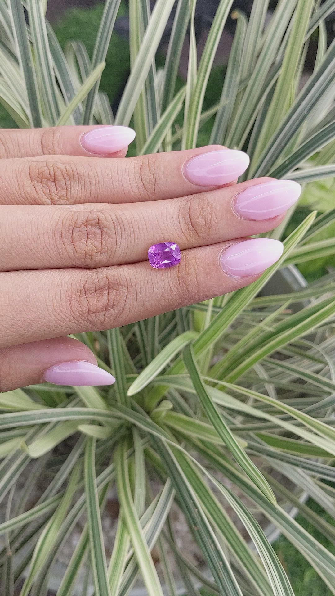 3.15 Ct. Pinkish Purple Sapphire from Ceylon (Sri Lanka) Size Video