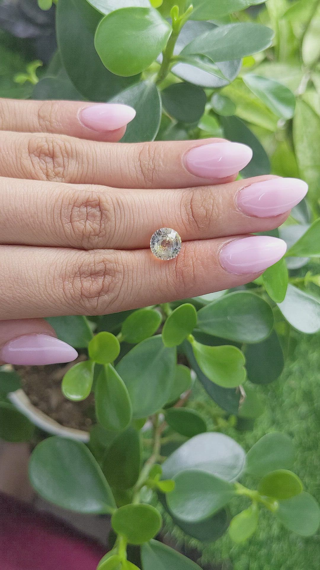 3.64 Ct. Bi Color Sapphire from Ceylon (Sri Lanka) Size Video