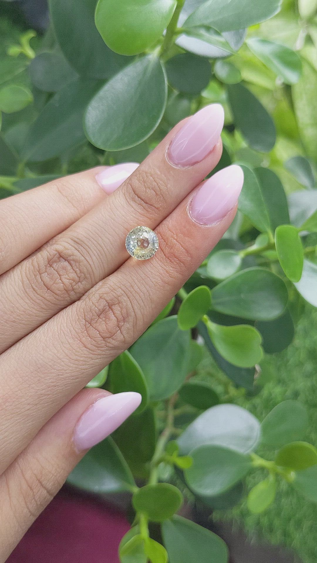 3.64 Ct. Bi Color Sapphire from Ceylon (Sri Lanka) Size Video