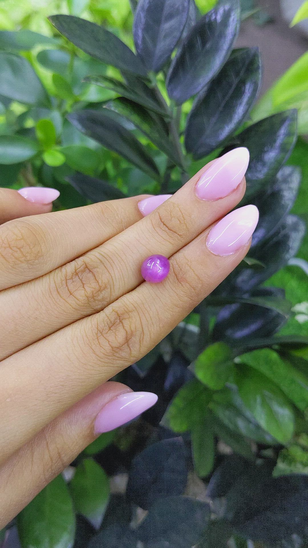 5.03 Ct. Pinkish Purple Star Sapphire from Ceylon (Sri Lanka) Size Video